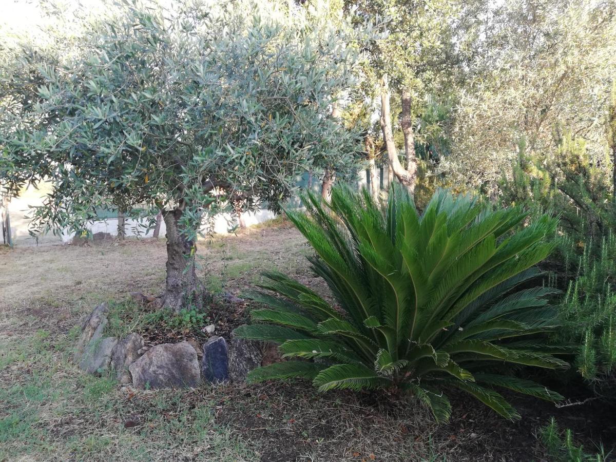 La Cuppulata Apartment Budoni Exterior foto