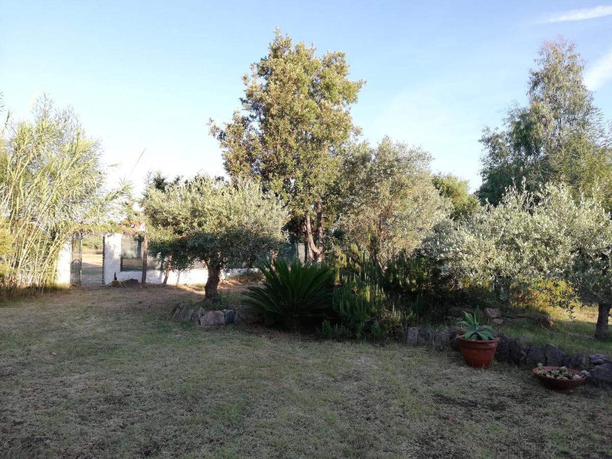 La Cuppulata Apartment Budoni Exterior foto